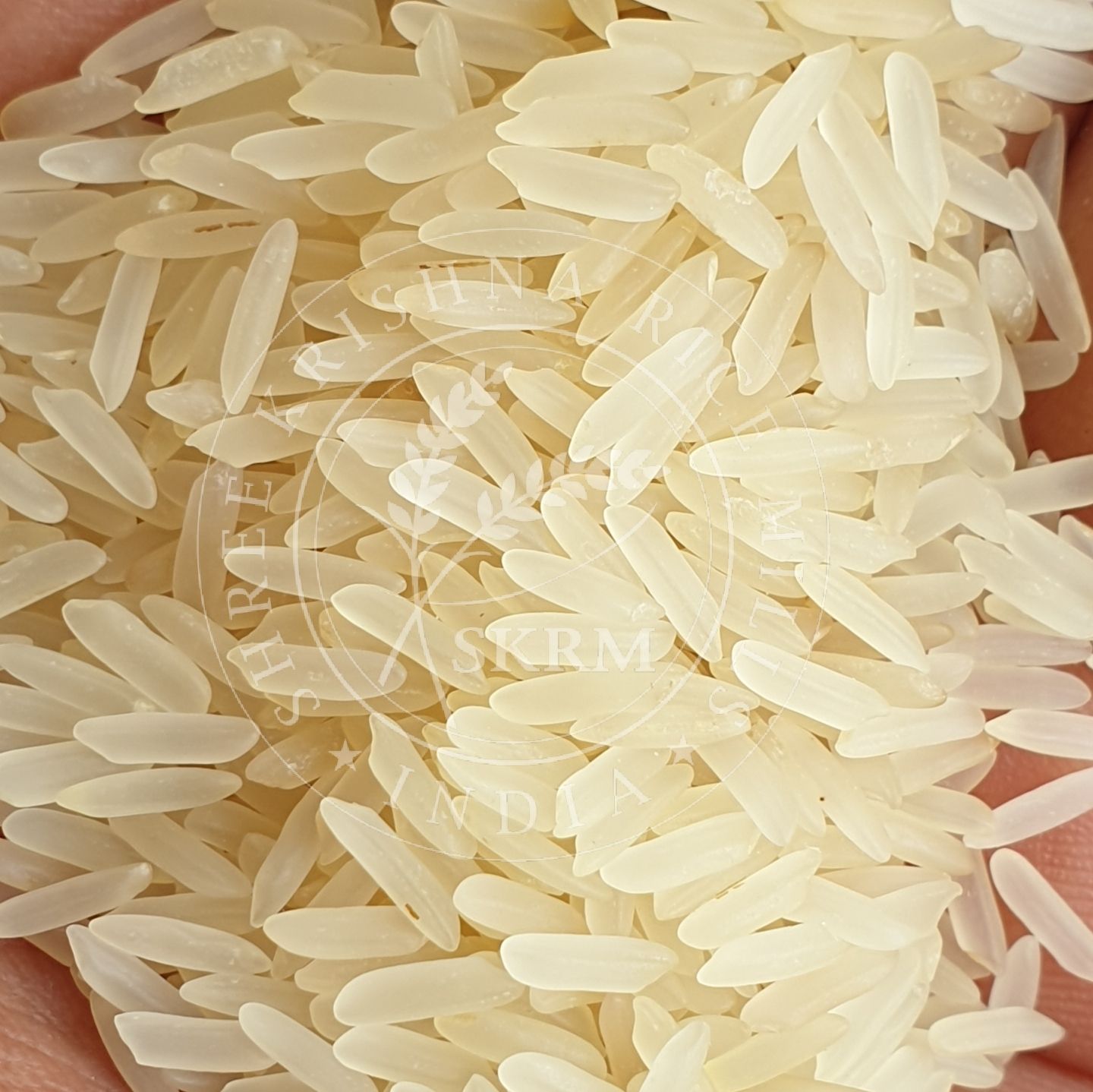 PR14 Sella Non Basmati Rice