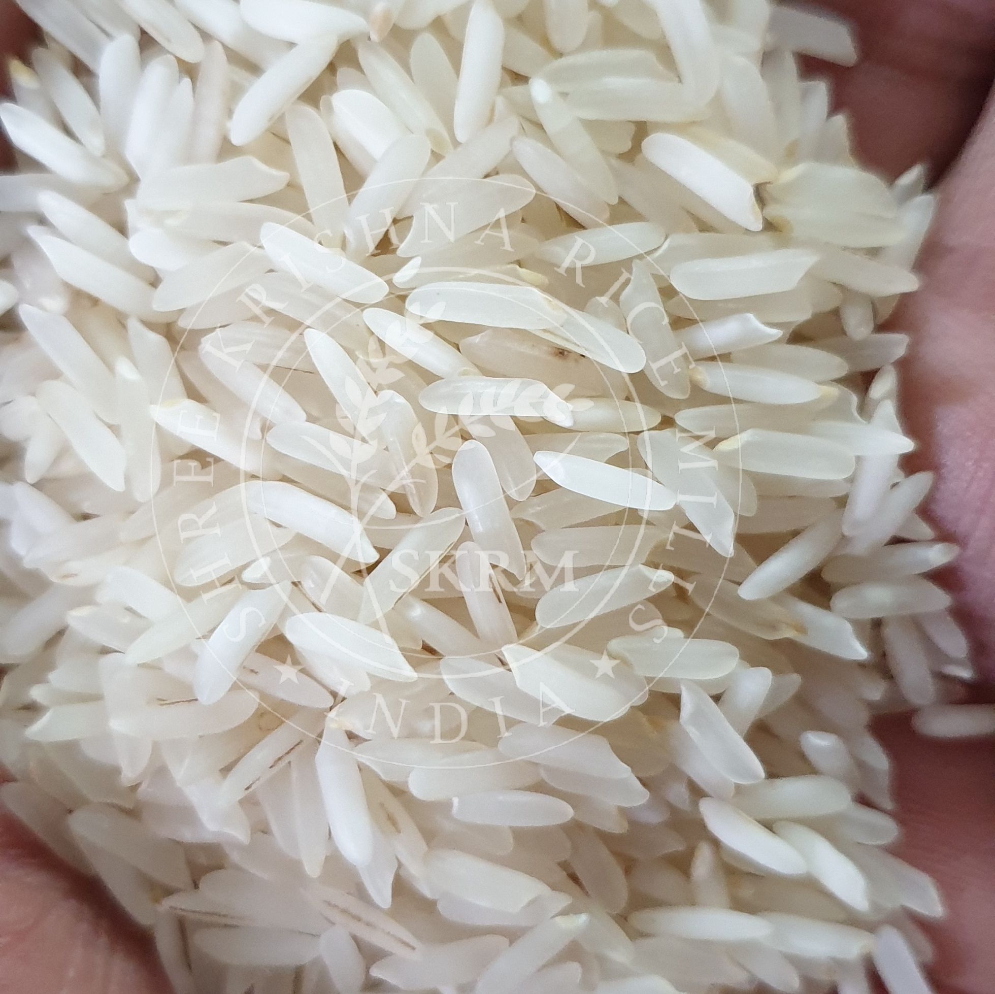 PR11 Raw Non Basmati Rice