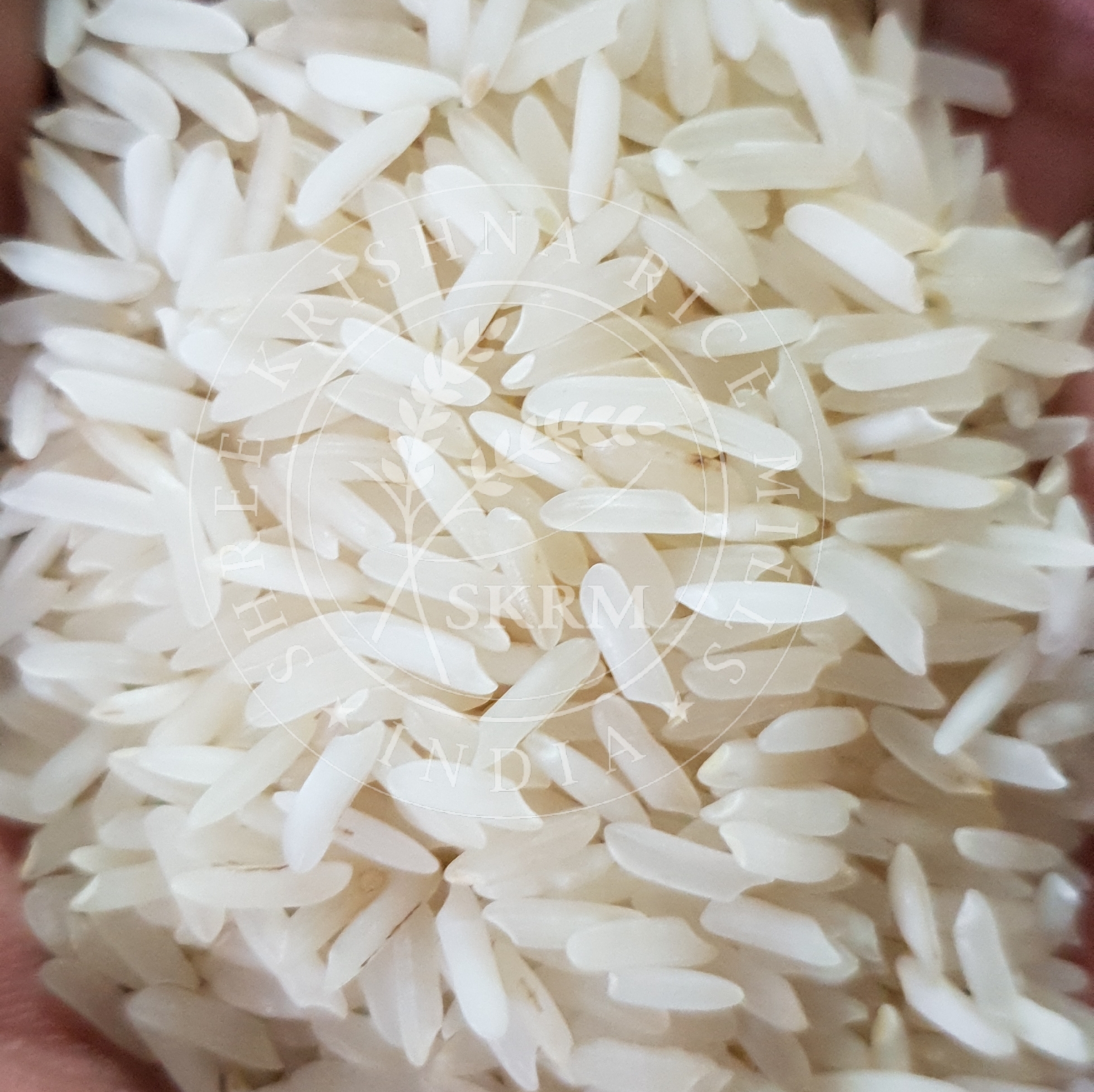 PR11 Raw Non Basmati Rice