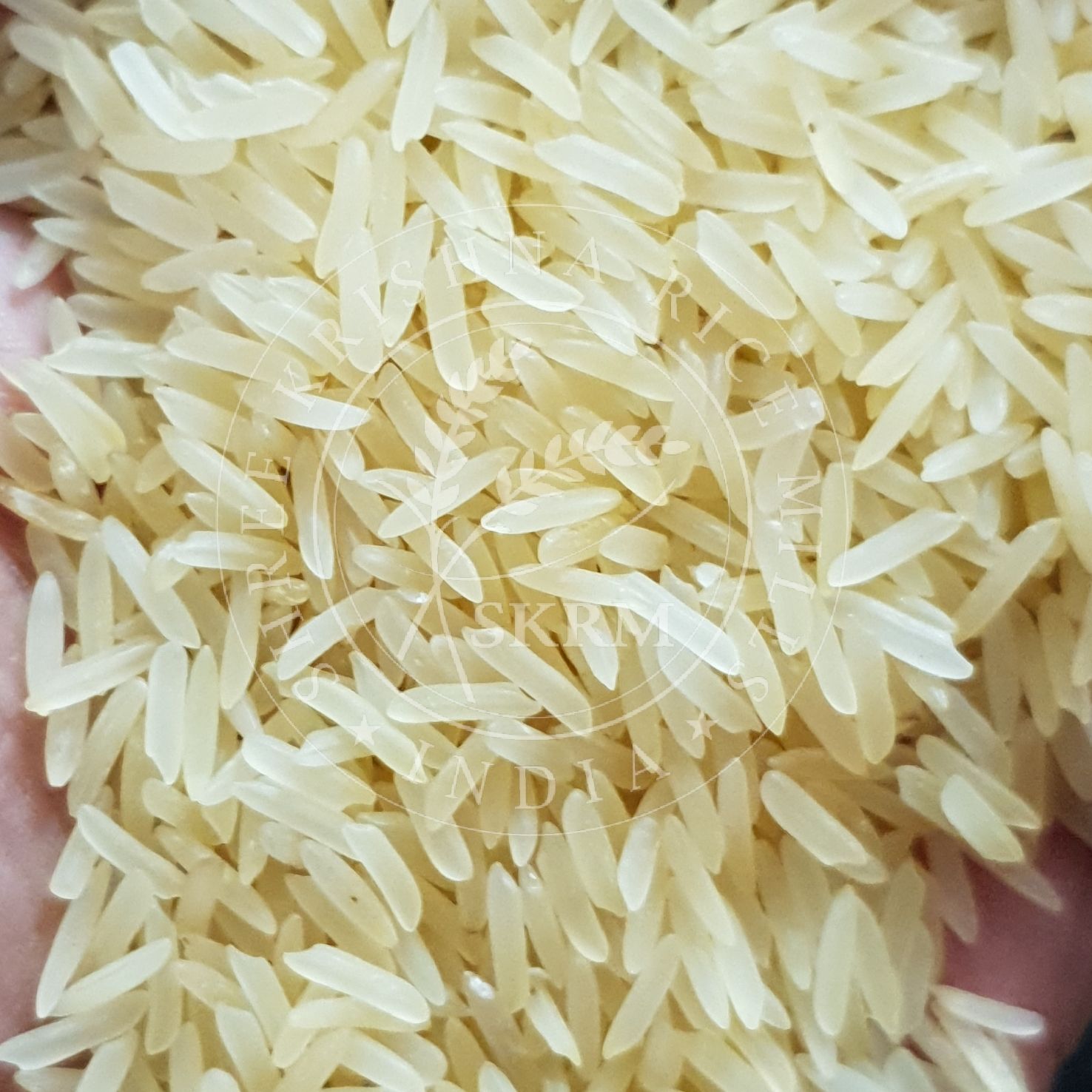 Sharbati Golden Sella Basmati Rice