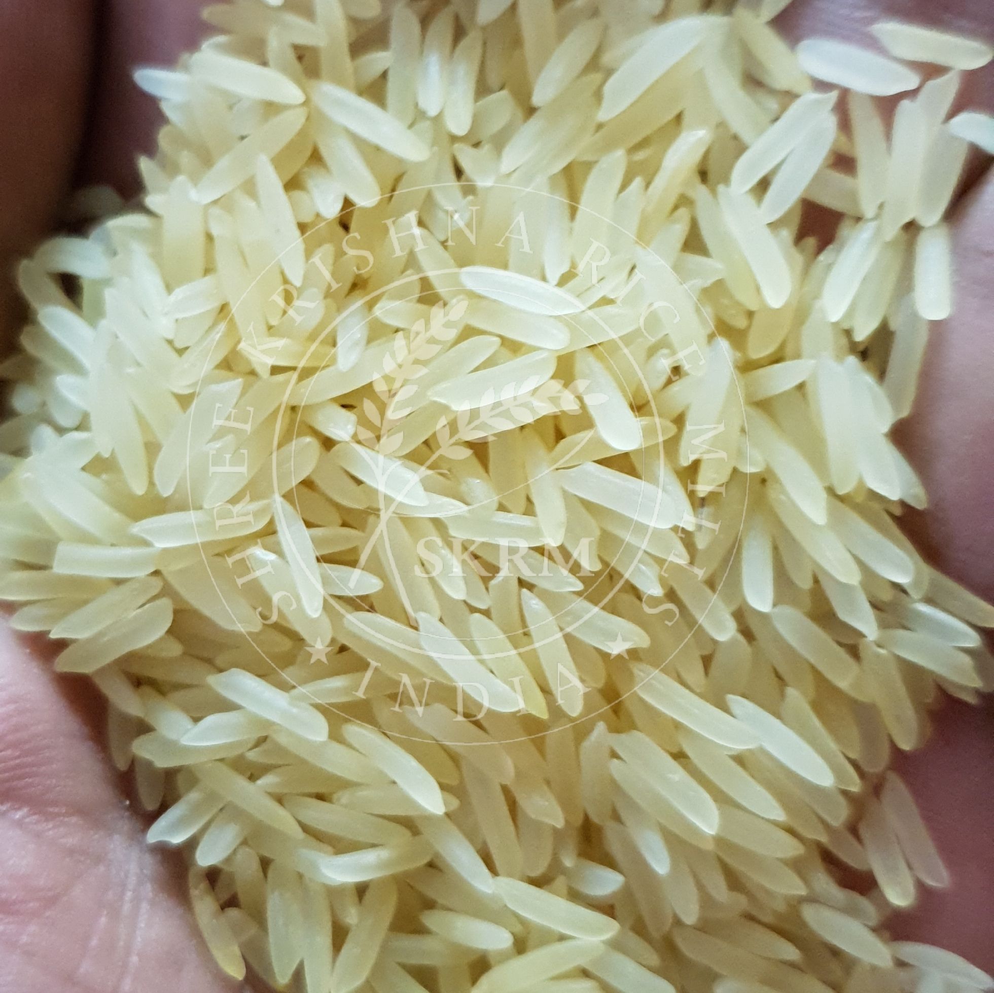 Sharbati Golden Sella Basmati Rice