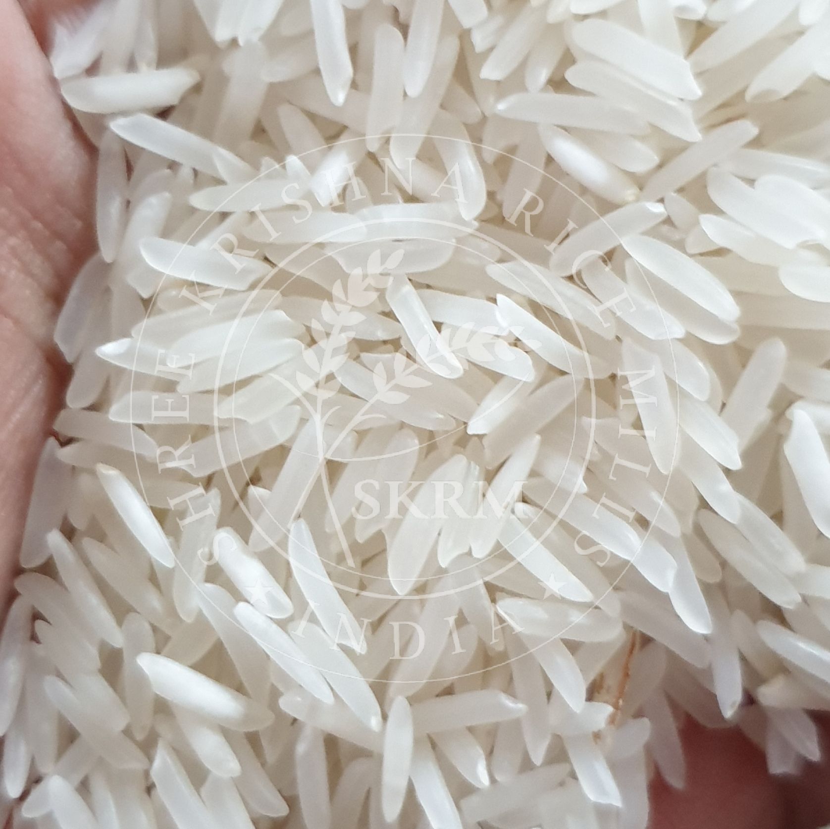 Sharbati Raw Basmati Rice