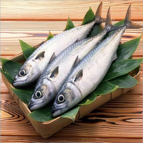 buy salmon fish online in kolkata  kolkata meat - delivering freshness