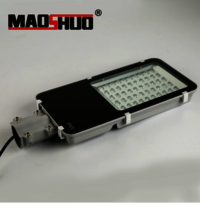 50W Small Bean Street Lamp