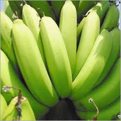 Organic Green Banana