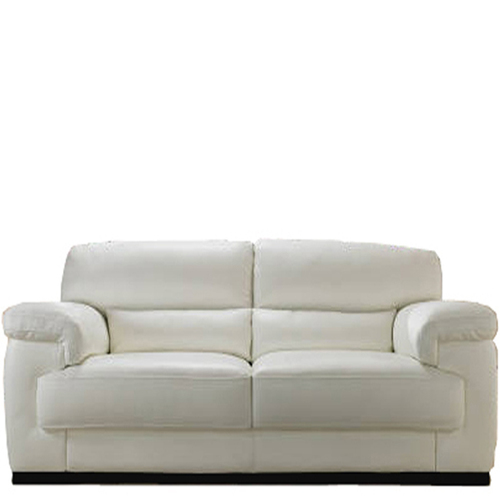 Two Seater Cushion Leather Sofa