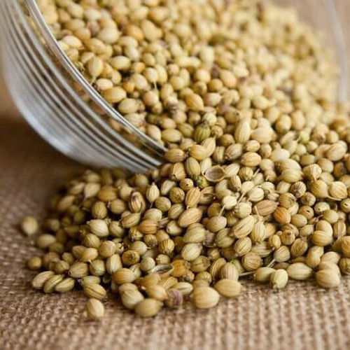 Coriander Seed