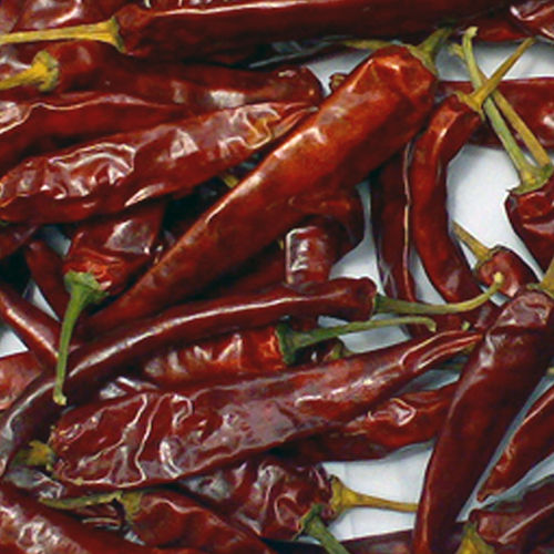 Dry Red Chilli