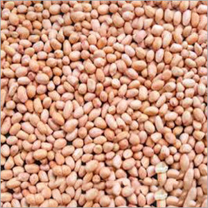 Organic Groundnut Kernel