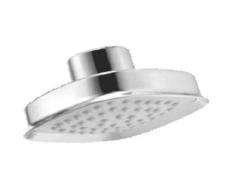 Delta ABS Shower Head