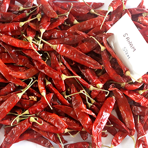 Red Sanam Stem Chilli