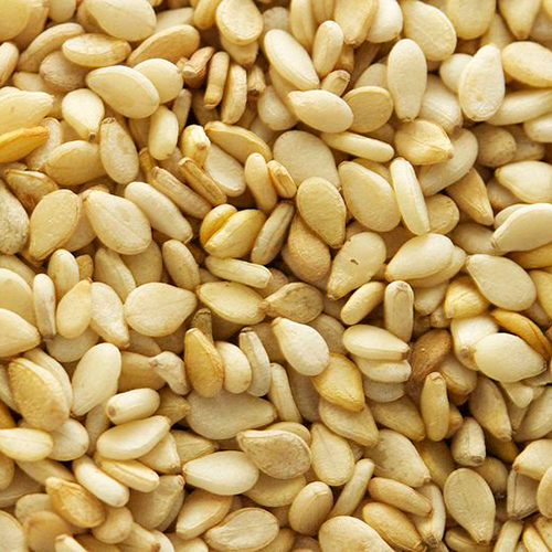 Common Sesame Seed