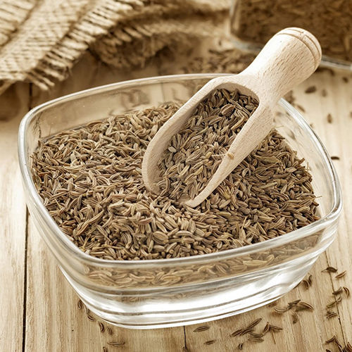 Fresh Cumin Seeds