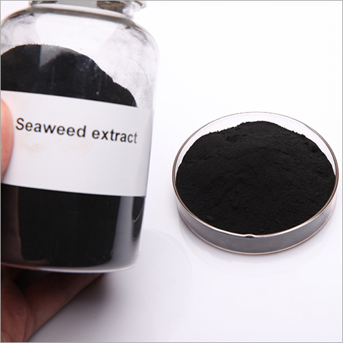 Seaweed Extract Soluble Powder Flake