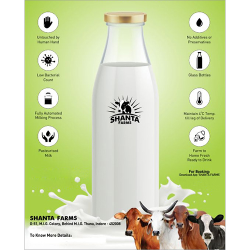 Organic Cow Milk Organic Cow Milk