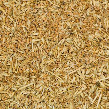 Wheat Husk Wheat Husk