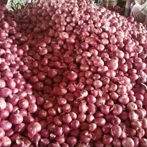 Preserved Fresh Onion