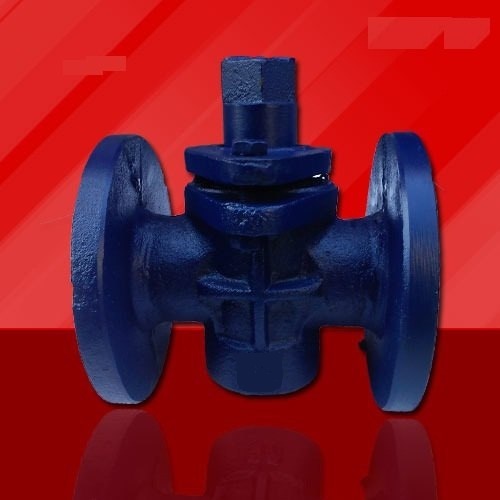2 Way Gland Cock Valve