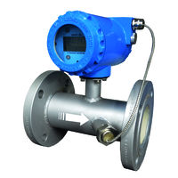 Asionic 100 - Two Wire Inline Ultrasonic Flow Meter