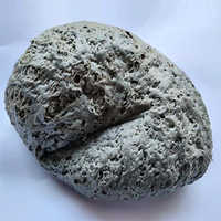 Gray Pp Lumps