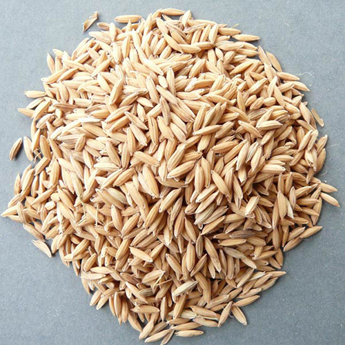 Pure Rice Paddy