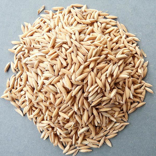 Pure Rice Paddy Pure Rice Paddy