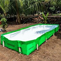 Azolla Bed