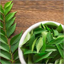 Fresh Curry Leaves - Dark Green, 1 Month Shelf Life | Natural Flavor, Aromatic, Supports Heart Function, Aids Digestion, Improves Eyesight