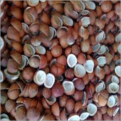 Organic Fresh Dry Coconut