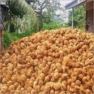 Organic Fresh Coconut