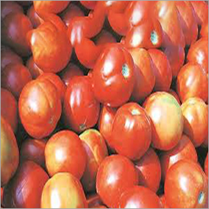 Fresh Tomato - Organic, Red Color, Juicy and Sour Taste | High Lycopene Content, Bulk Availability, Shelf Life Up to 30 Days
