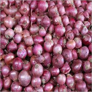 Fresh Red Onions - Organic Variety, Red, Pink & White Colors | Shelf Life Up to 30 Days, Dry Place Storage, Ideal for Food Industry Use