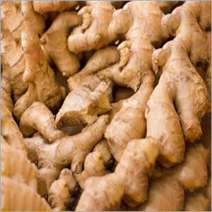 Fresh Ginger
