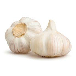 Fresh White Garlics - Organic Cultivation, White Color | Shelf Life Up to 30 Days, Ideal for Food Industry Storage in Dry Place