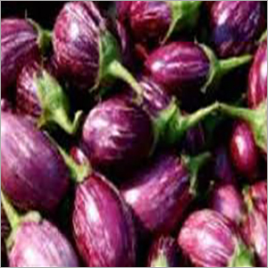 Fresh Brinjal - Organic Quality, Moisture Content 6-8% | Vibrant Purple Color, Store in Dry Place
