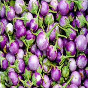 Natural Brinjal - Organic, Moisture 6-8% | Purple Color, Ideal for Food Industry Storage