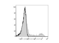 cd16 antibody