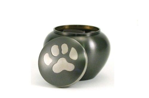 Odyssey Paw Print Slate Pet Small- New