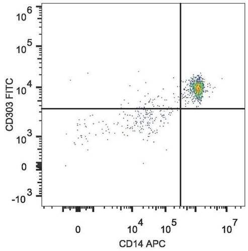 cd303 antibody