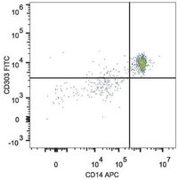 cd303 antibody