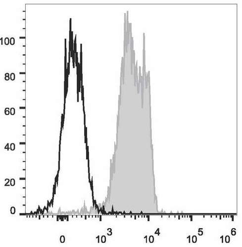 cd31 antibody