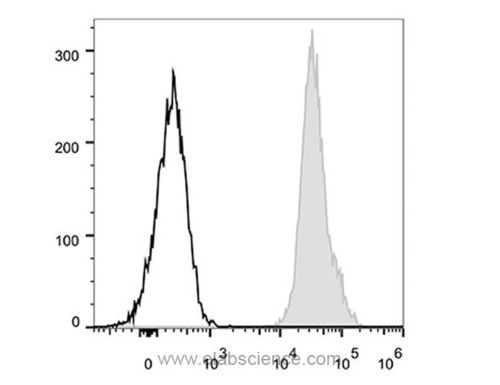 cd45.2 antibody