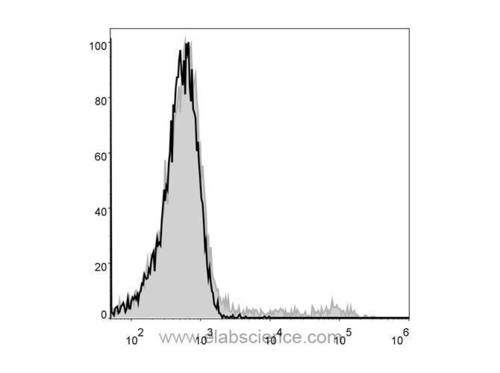 cd49b antibody