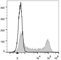 cd62l antibody