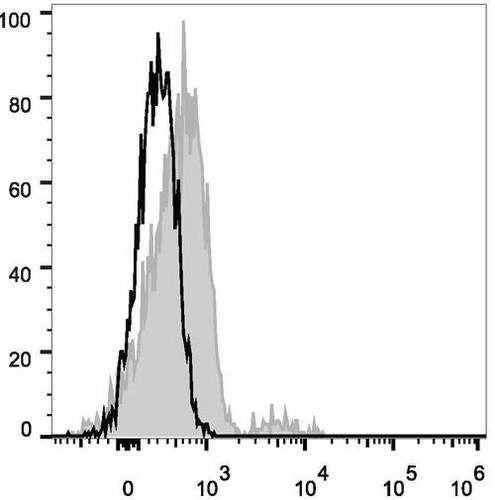 cd74 antibody