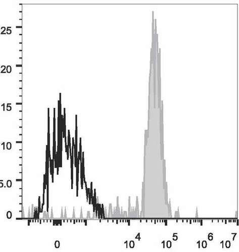 cd86 antibody