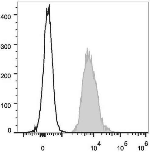 cd147 antibody