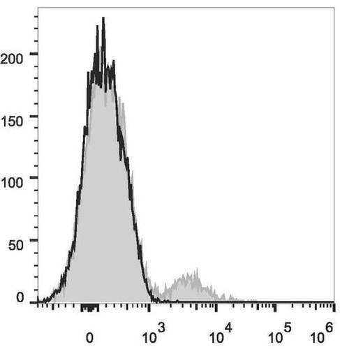 cd19 antibody