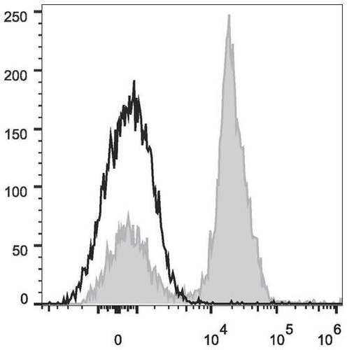 cd28 antibody