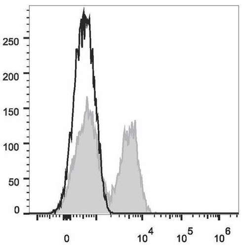 cd28 antibody